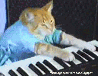 http://elblogdecosasdivertidas.files.wordpress.com/2009/09/gato-que-toca-el-piano.gif